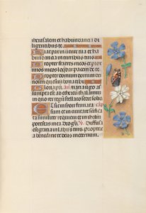 Kuningatar Isabella Katolisen, Espanjan kuningatar: Fol. 134r, c. 1500. tekijältä Master of the First Prayerbook of Maximillian