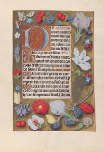 Kuningatar Isabella Katolisen, Espanjan kuningatar: Fol. 137r, c. 1500. tekijältä Master of the First Prayerbook of Maximillian