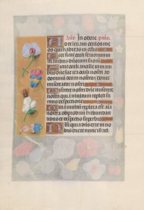 Kuningatar Isabella Katolisen, Espanjan kuningatar: Fol. 137v, c. 1500. tekijältä Master of the First Prayerbook of Maximillian