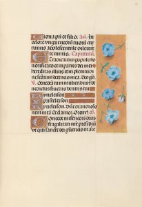 Kuningatar Isabella Katolisen, Espanjan kuningatar: Fol. 139r, c. 1500. tekijältä Master of the First Prayerbook of Maximillian