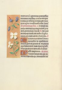 Kuningatar Isabella Katolisen, Espanjan kuningatar: Fol. 139v, c. 1500. tekijältä Master of the First Prayerbook of Maximillian