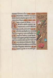 Kuningatar Isabella Katolisen, Espanjan kuningatar: Fol. 143r, c. 1500. tekijältä Master of the First Prayerbook of Maximillian