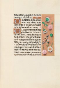 Kuningatar Isabella Katolisen, Espanjan kuningatar: Fol. 145r, c. 1500. tekijältä Master of the First Prayerbook of Maximillian