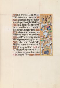 Kuningatar Isabella Katolisen, Espanjan kuningatar: Fol. 148r, c. 1500. tekijältä Master of the First Prayerbook of Maximillian