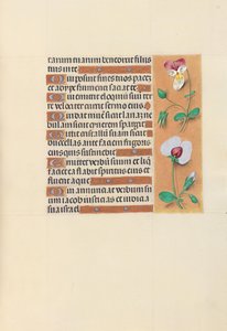 Kuningatar Isabella Katolisen, Espanjan kuningatar: Fol. 150r, c. 1500. tekijältä Master of the First Prayerbook of Maximillian