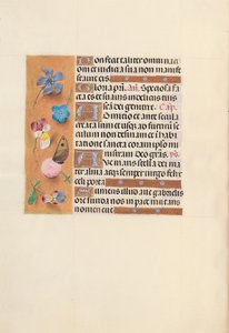 Kuningatar Isabella Katolisen, Espanjan kuningatar: Fol. 150v, c. 1500. tekijältä Master of the First Prayerbook of Maximillian