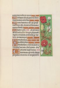 Kuningatar Isabella Katolisen, Espanjan kuningatar: Fol. 152r, c. 1500. tekijältä Master of the First Prayerbook of Maximillian
