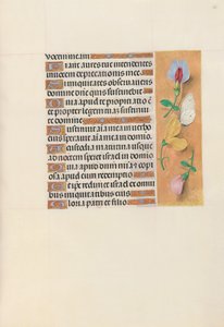 Kuningatar Isabella Katolisen, Espanjan kuningatar: Fol. 156r, c. 1500. tekijältä Master of the First Prayerbook of Maximillian