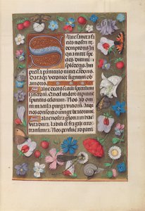 Kuningatar Isabella Katolisen, Espanjan kuningatar: Fol. 15r, c. 1500. tekijältä Master of the First Prayerbook of Maximillian