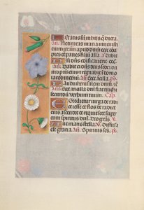 Kuningatar Isabella Katolisen, Espanjan kuningatar: Fol. 160v, c. 1500. tekijältä Master of the First Prayerbook of Maximillian