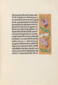 Kuningatar Isabella Katolisen, Espanjan kuningatar: Fol. 163r, c. 1500.
