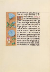 Kuningatar Isabella Katolisen, Espanjan kuningatar: Fol. 163v, c. 1500. tekijältä Master of the First Prayerbook of Maximillian
