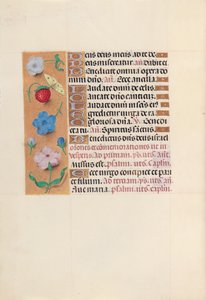 Kuningatar Isabella Katolisen, Espanjan kuningatar: Fol. 164v, c. 1500.