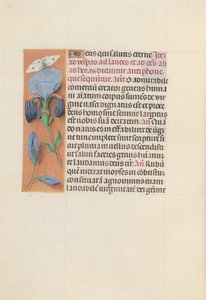 Kuningatar Isabella Katolisen, Espanjan kuningatar: Fol. 165v, c. 1500. tekijältä Master of the First Prayerbook of Maximillian