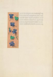 Kuningatar Isabella Katolisen, Espanjan kuningatar: Fol. 16v, Short Border, c. 1500. tekijältä Master of the First Prayerbook of Maximillian