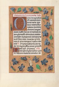 Kuningatar Isabella Katolisen, Espanjan kuningatar: Fol. 182r, c. 1500. tekijältä Master of the First Prayerbook of Maximillian