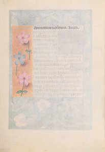 Kuningatar Isabella Katolisen, Espanjan kuningatar: Fol. 194v, c. 1500. tekijältä Master of the First Prayerbook of Maximillian
