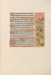 Kuningatar Isabella Katolisen, Espanjan kuningatar: Fol. 201r, c. 1500. tekijältä Master of the First Prayerbook of Maximillian