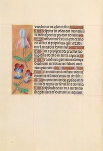 Kuningatar Isabella Katolisen, Espanjan kuningatar: Fol. 207v, c. 1500. tekijältä Master of the First Prayerbook of Maximillian