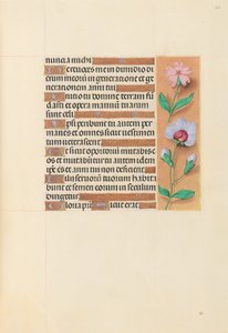 Kuningatar Isabella Katolisen, Espanjan kuningatar: Fol. 208r, c. 1500. tekijältä Master of the First Prayerbook of Maximillian