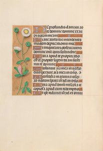 Kuningatar Isabella Katolisen, Espanjan kuningatar: Fol. 208v, c. 1500. tekijältä Master of the First Prayerbook of Maximillian