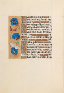 Kuningatar Isabella Katolisen, Espanjan kuningatar: Fol. 213v, c. 1500. tekijältä Master of the First Prayerbook of Maximillian