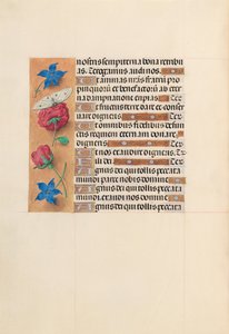 Kuningatar Isabella Katolisen, Espanjan kuningatar: Fol. 214v, c. 1500. tekijältä Master of the First Prayerbook of Maximillian