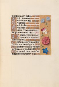 Kuningatar Isabella Katolisen, Espanjan kuningatar: Fol. 215r, c. 1500. tekijältä Master of the First Prayerbook of Maximillian