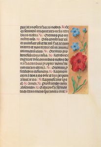 Kuningatar Isabella Katolisen, Espanjan kuningatar: Fol. 216r, c. 1500. tekijältä Master of the First Prayerbook of Maximillian