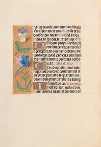 Kuningatar Isabella Katolisen, Espanjan kuningatar: Fol. 216v, c. 1500. tekijältä Master of the First Prayerbook of Maximillian