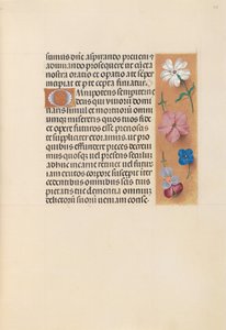 Kuningatar Isabella Katolisen, Espanjan kuningatar: Fol. 218r, c. 1500. tekijältä Master of the First Prayerbook of Maximillian