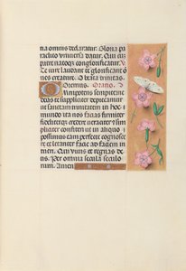 Kuningatar Isabella Katolisen, Espanjan kuningatar: Fol. 21r, c. 1500. tekijältä Master of the First Prayerbook of Maximillian