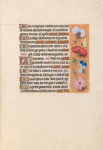 Kuningatar Isabella Katolisen, Espanjan kuningatar: Fol. 221r, c. 1500. tekijältä Master of the First Prayerbook of Maximillian