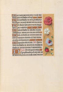 Kuningatar Isabella Katolisen, Espanjan kuningatar: Fol. 222r, c. 1500. tekijältä Master of the First Prayerbook of Maximillian
