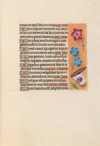 Kuningatar Isabella Katolisen, Espanjan kuningatar: Fol. 224r, c. 1500. tekijältä Master of the First Prayerbook of Maximillian