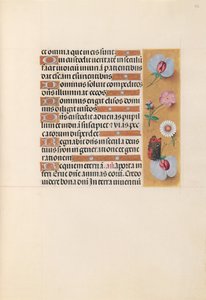 Kuningatar Isabella Katolisen, Espanjan kuningatar: Fol. 225r, c. 1500. tekijältä Master of the First Prayerbook of Maximillian