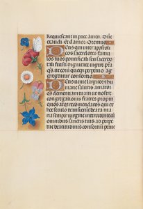 Kuningatar Isabella Katolisen, Espanjan kuningatar: Fol. 225v, c. 1500. tekijältä Master of the First Prayerbook of Maximillian