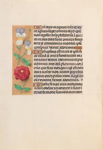 Kuningatar Isabella Katolisen, Espanjan kuningatar: Fol. 226v, c. 1500. tekijältä Master of the First Prayerbook of Maximillian