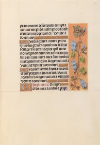 Kuningatar Isabella Katolisen, Espanjan kuningatar: Fol. 227r, c. 1500. tekijältä Master of the First Prayerbook of Maximillian