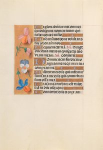 Kuningatar Isabella Katolisen, Espanjan kuningatar: Fol. 228v, c. 1500. tekijältä Master of the First Prayerbook of Maximillian