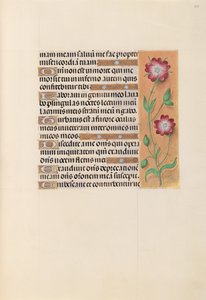 Kuningatar Isabella Katolisen, Espanjan kuningatar: Fol. 229r, c. 1500. tekijältä Master of the First Prayerbook of Maximillian