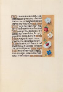Kuningatar Isabella Katolisen, Espanjan kuningatar: Fol. 230r, c. 1500. tekijältä Master of the First Prayerbook of Maximillian