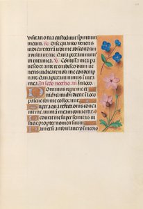 Espanjan kuningattaren Isabella katolisen tunteja:  Fol. 233r tekijältä Master of the First Prayerbook of Maximillian