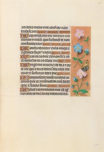 Kuningatar Isabella Katolisen, Espanjan kuningatar: Fol. 234r, c. 1500. tekijältä Master of the First Prayerbook of Maximillian