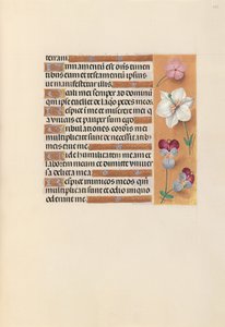 Kuningatar Isabella Katolisen, Espanjan kuningatar: Fol. 235r, c. 1500. tekijältä Master of the First Prayerbook of Maximillian