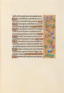 Kuningatar Isabella Katolisen, Espanjan kuningatar: Fol. 236r, c. 1500. tekijältä Master of the First Prayerbook of Maximillian