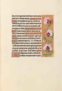 Kuningatar Isabella Katolisen, Espanjan kuningatar: Fol. 237r, c. 1500. tekijältä Master of the First Prayerbook of Maximillian