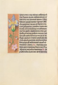Kuningatar Isabella Katolisen, Espanjan kuningatar: Fol. 237v, c. 1500. tekijältä Master of the First Prayerbook of Maximillian