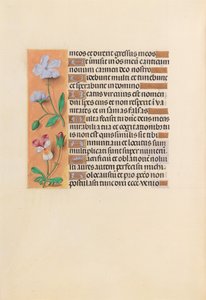 Kuningatar Isabella Katolisen, Espanjan kuningatar: Fol. 239v, c. 1500. tekijältä Master of the First Prayerbook of Maximillian