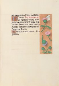 Kuningatar Isabella Katolisen, Espanjan kuningatar: Fol. 23r, c. 1500. tekijältä Master of the First Prayerbook of Maximillian